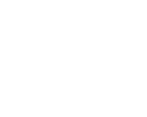 YAY Portal Logo